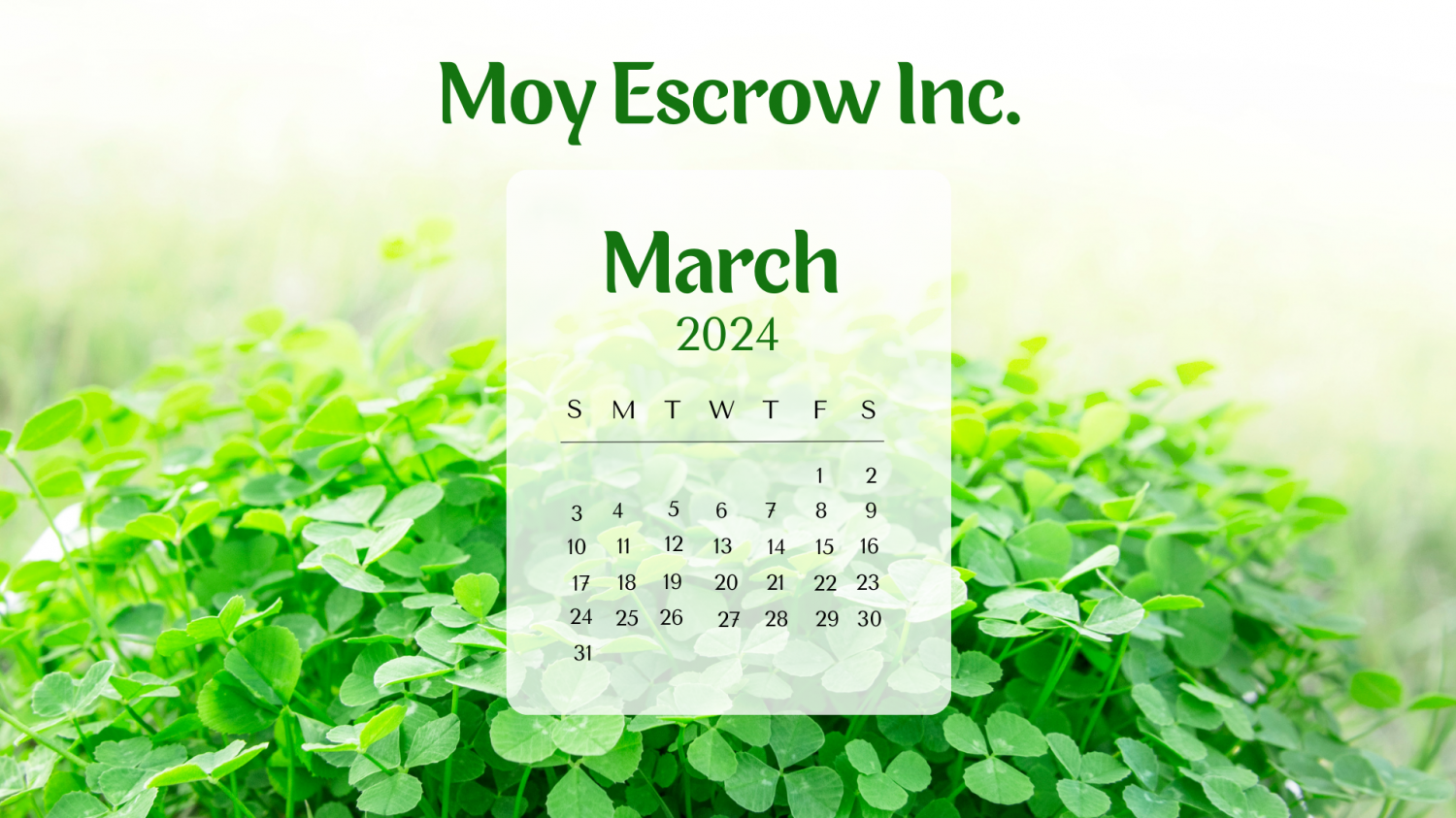 Moy Escrow Inc.